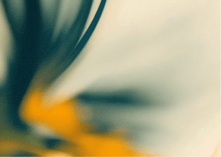 Flower close-up